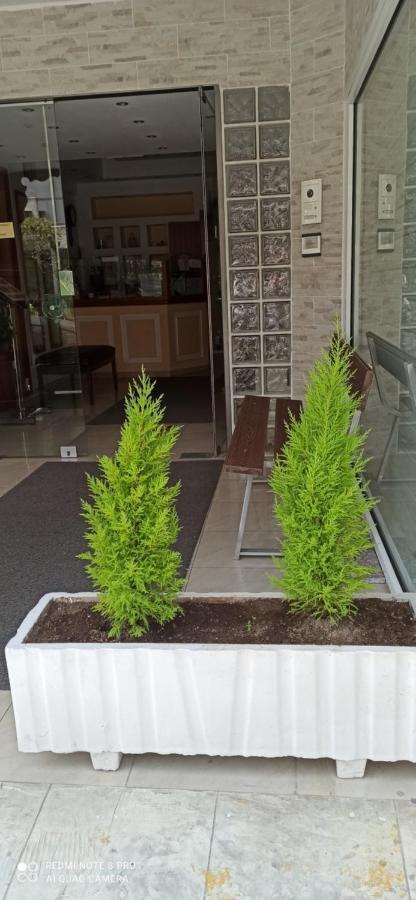 Chariclia Hotel Paralia Katerinis Ngoại thất bức ảnh
